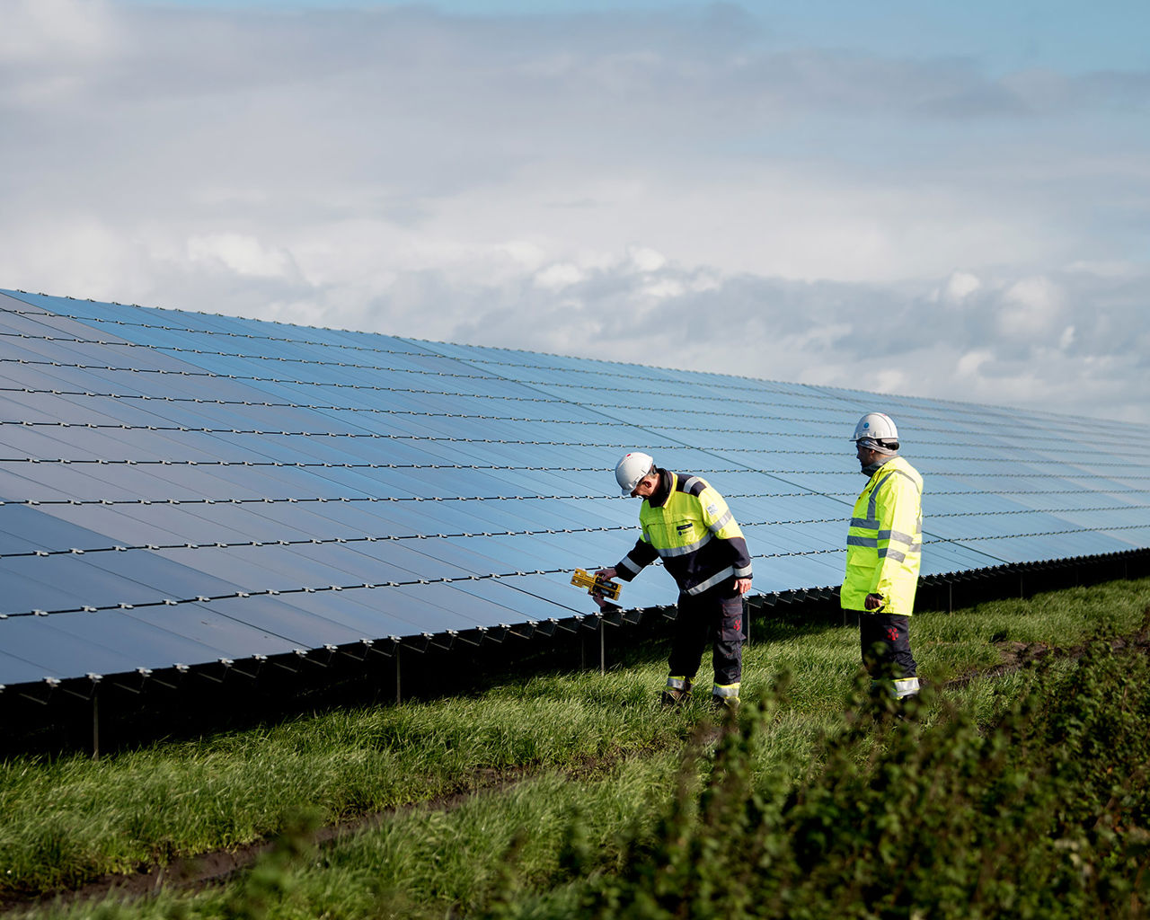 Men walking next to solar panels