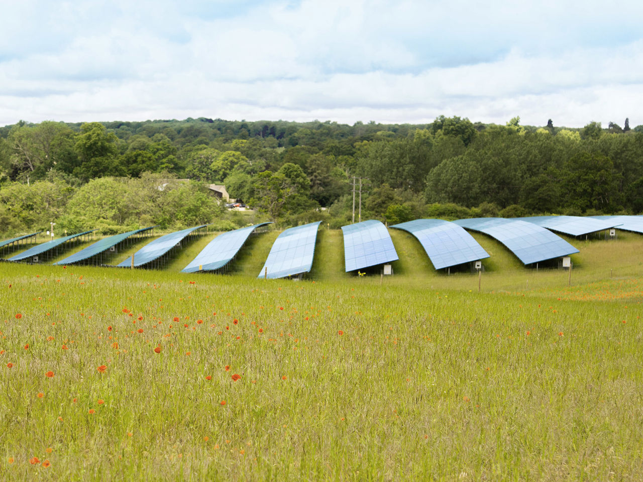 Solar panels on green grass.